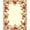 Coral, Pattern 2, variant on Flatwoven High Traffic Area Rug, Classic Vintage Rug with Decorative Floral Vines and Ornate Frames, Non Slip, Stain Resistant, Washable Area Rugs for Living Room, Bedroom(Coral, 2X3)