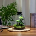 thumbnail image 5 of Desktop Glass Terrarium with Grow Light (H:7.8" D:6.7"), for Succulent, Moss, Miniature Gardening Landscape, Betta Fish Tank, Indoor Plant Growth, Office Home Decoration, Plant Lovers Gifts, 5 of 6
