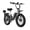 Black-EK12, variant on CBVELO 1000W Electric Bike,48V 20AH Removable Battery EBike,Electric Bike for Adults, 20" Fat Tire ebike, Adult Electric Bikes for Commute All Terrain one year warrenty