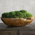 thumbnail image 2 of Uttermost Kinsale Teak Wood Moss and Foam Centerpiece in Green/Woodtone, 2 of 3