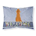 thumbnail image 1 of Carolines Treasures BB5645PILLOWCASE Irish Setter Welcome Fabric Standard Pillowcase, 1 of 2