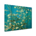 thumbnail image 2 of Vincent van Gogh 'Almond Branches In Bloom' Multi Panel Art Set Large, 2 of 3