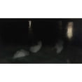 thumbnail image 3 of Józef Pankiewicz 14x10 Black Modern Framed Museum Art Print Titled - Nocturne. Swans in the Saxon Garden in Warsaw at Night (Sleeping Swans, Swans at Night) (From 1893 Until 1894), 3 of 5