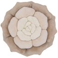 thumbnail image 1 of Cojín Cozy 4 Decor con flores suculentas de terciopelo, 38 x 38 cm, 1 of 8