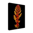 thumbnail image 4 of Trademark Fine Art Mystic Number  Steps A Walk to Ultraviolet Canvas Wall Art, 4 of 4