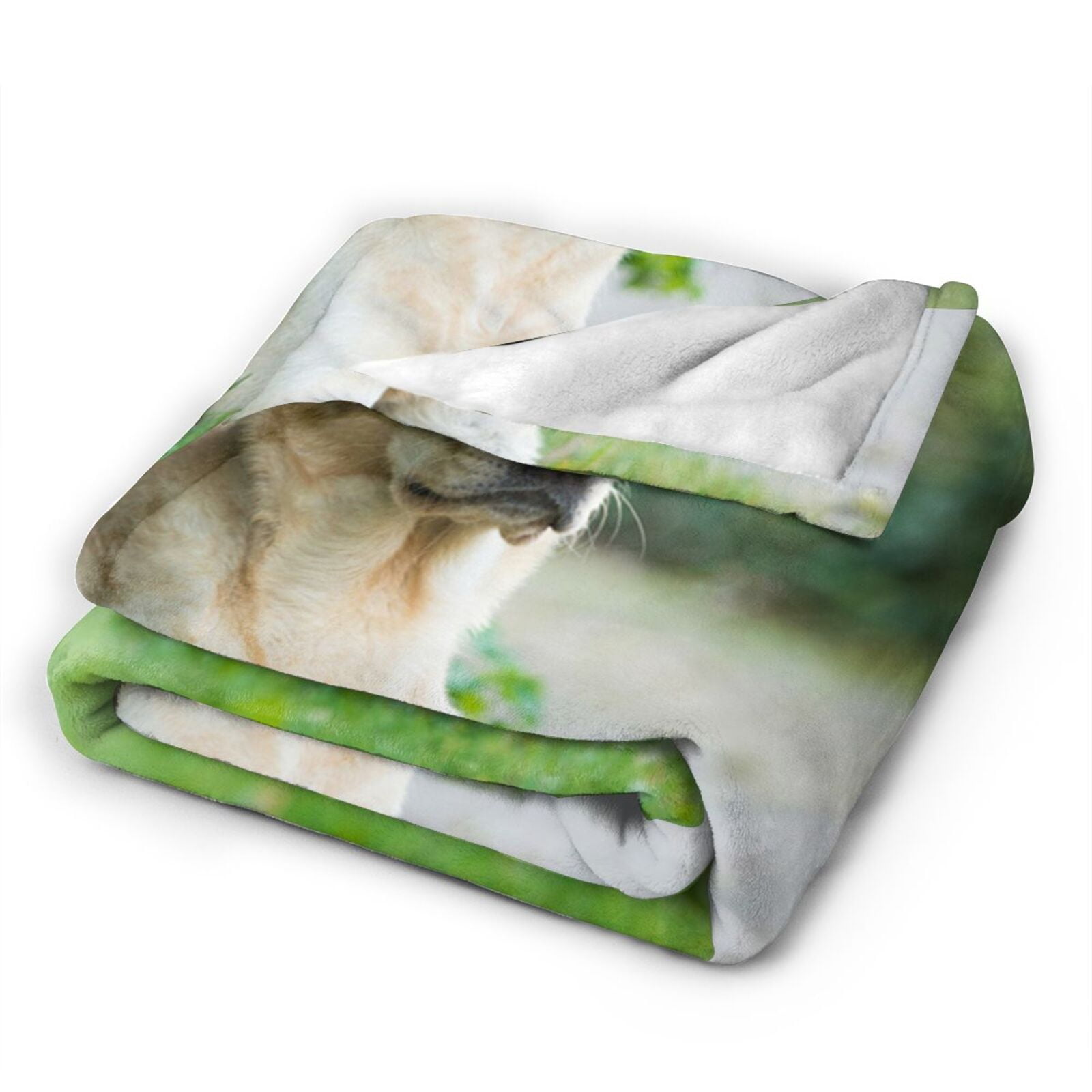 Wijzvio Labrador Retriever Dog Throw Blanket Soft Fuzzy Fleece Blanket For Couch Bed Living Room Decoration 60"X50"