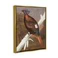 thumbnail image 3 of Stupell Industries Floral Patterned Pheasant Animals & Insects Painting Gold Floater Framed Art Print Wall Art, 25 x 31, 3 of 9