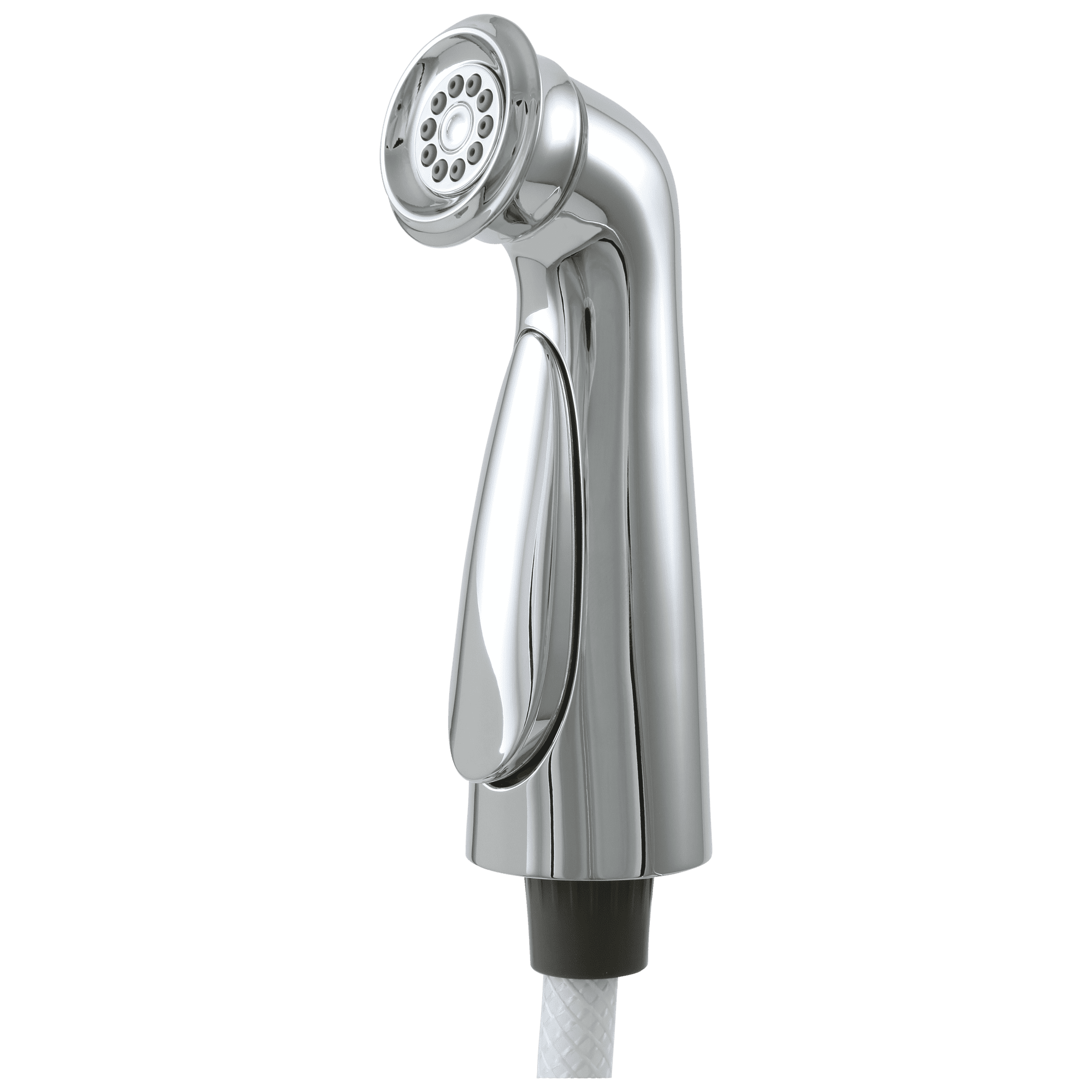 Delta Cassidy Side Spray & Hose Assembly