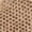Beige, variant on Women's Lace-Up Sneakers By XTI 142289