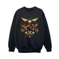 thumbnail image 1 of Harry Potter Boys Quidditch Golden Snitch Sweatshirt, 1 of 3