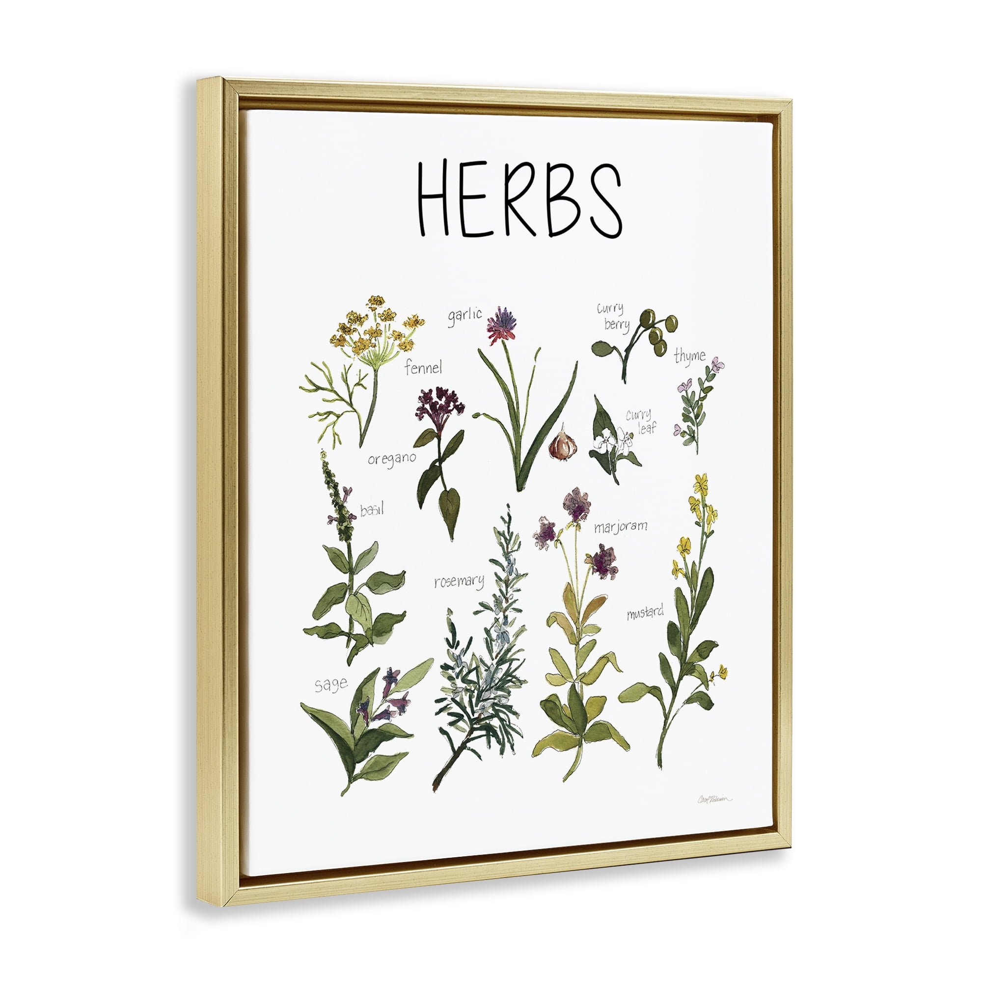 Stupell Industries Herbs Identification Chart Gold Framed Floater Canvas Wall Art, design by Carol Robinson