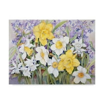 Trademark Fine Art 'Early Spring' Canvas Art by Joanne Porter