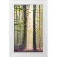 thumbnail image 1 of VLAICU, Denisa 12x18 White Modern Wood Framed Museum Art Print Titled - Misty sunrise in Hallerbos, 1 of 4