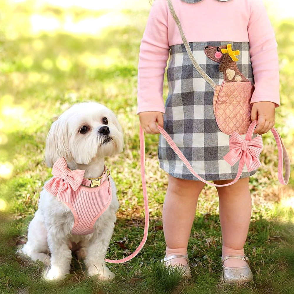 Didog Cute Bowknot Dog Collar and Soft Walking Harness and 5ft Leash set for Extra Small and Small Breeds Shih Tzu Yorkshire