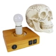 thumbnail image 2 of Wicca Astrology Zodiac Skull LED Night Light Statue With USB Charging Wood Base, 2 of 10