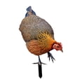 thumbnail image 1 of Figura decorativa de gallina para jardín, figura de animal, figura decorativa, arte de jardín realista Estilo C, 1 of 9