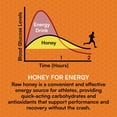 thumbnail image 4 of Gel energético You Again Super Honey Clean, con miel y sal del Himalaya | Reposición de electrolitos para correr | Gel para entrenamientos de resistencia y ciclismo | Refrigerio paleo y carnívoro | Si, 4 of 5