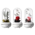 thumbnail image 3 of Eternal Rose Flower Aromaterapia Colorido Led Usb Recargable Rose Plastic Dome Decoración Cateissary HA025183-01, 3 of 5