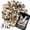 5 LB, variant on Pebbles Polished Gravel, Natural Polished Mixed Color Stones, Small Decorative River Rock Stones 2 Pounds (32-Oz)