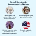 thumbnail image 4 of Sunny & Honey Carpet Cleaner Solution - Pet Carpet Cleaner & Rug Shampoo (32 Fl Oz, Light Lavender), 4 of 10