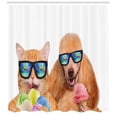 thumbnail image 3 of Ambesonne Animal Shower Curtain, Cat Dog with Ice Cream, 69"Wx75"L, Multicolor, 3 of 3