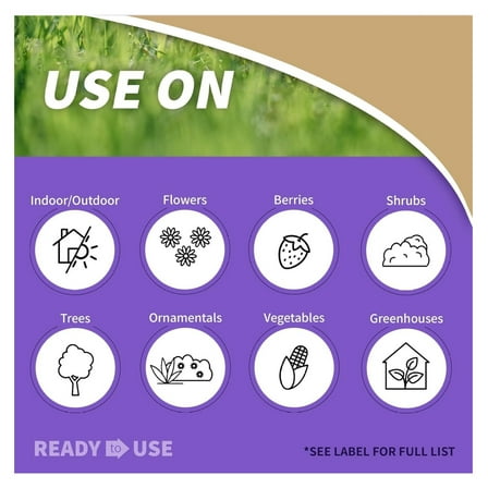 Bonide Insecticidal Soap, 32 oz Ready-to-Use Spray Multi-Purpose Insect Control for Organic Gardening Indoor and Outdoor- Pack of 2