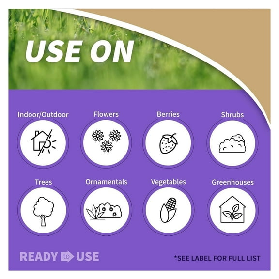 Bonide Insecticidal Soap, 32 oz Ready-to-Use Spray Multi-Purpose Insect Control for Organic Gardening Indoor and Outdoor- Pack of 2