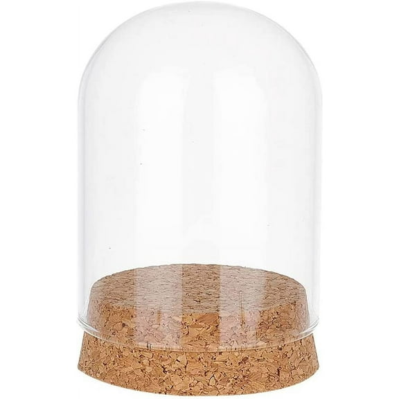 Glass Display Dome Cloche Glass Bell Jar with Cork Base Glass Bottles Dome Decorative Jars Display Case for Flower Storage Home Christmas Party Favor Decoration 2.3x3.5inch diy