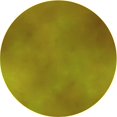 thumbnail image 1 of Ahgly Company Machine Washable Indoor Round Transitional Dark Yellow Green Area Rugs, 3' Round, 1 of 7