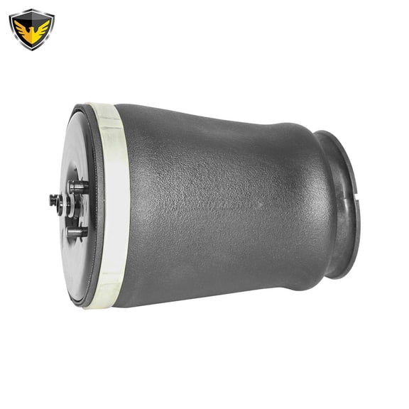 For BMW 528i 540i 525i Duralo Rear Right Air Spring
