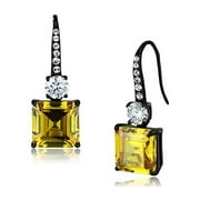TK2539 - IP Black(Ion Plating) Stainless Steel Earrings with AAA Grade CZ  in Topaz