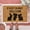 C, variant on Carpet,Polyester Carpet,Easter Mats Holiday Mats Welcome Door Mats Polyester Door Mats,Carpet B