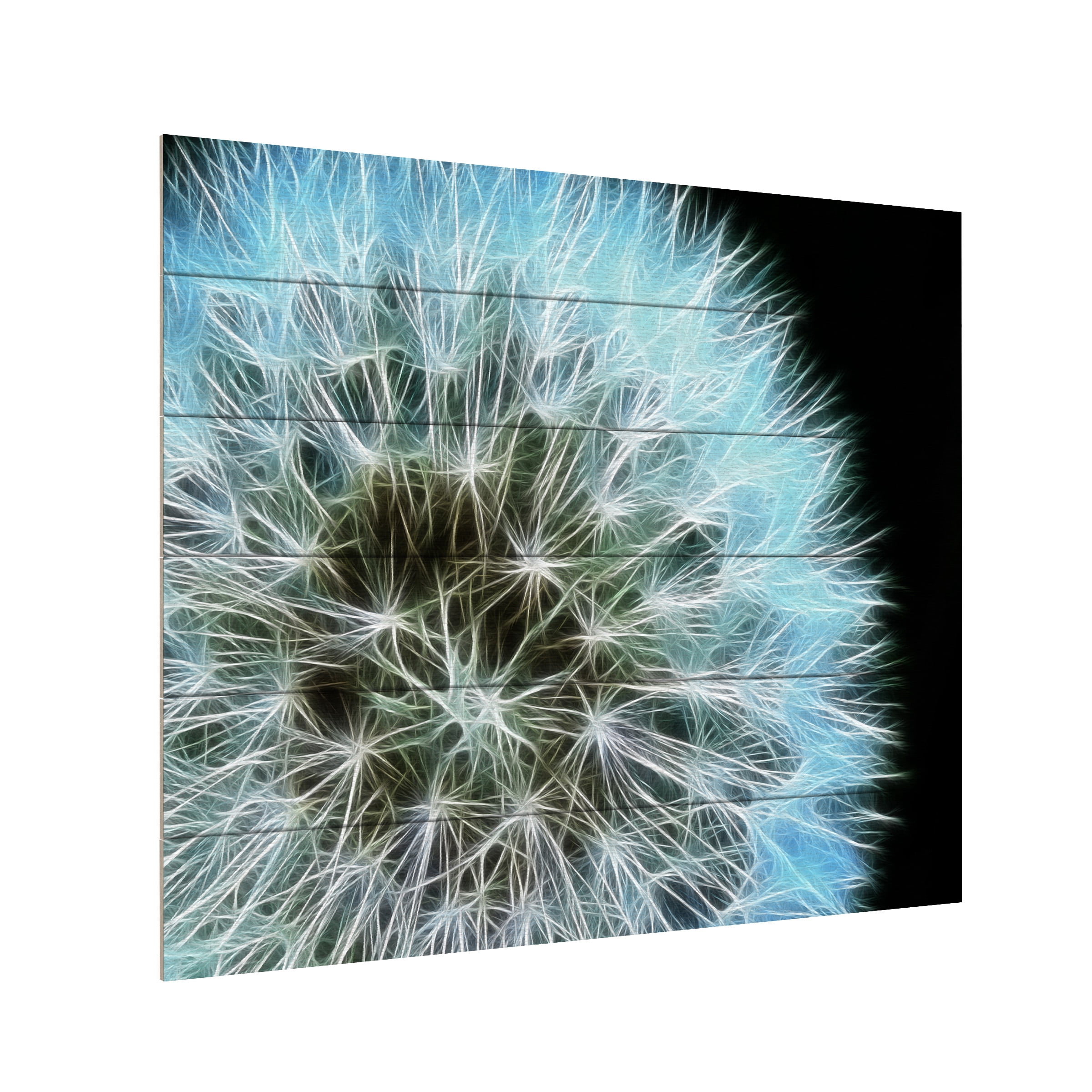 Trademark Fine Art 'Dandelion Seed Head Full' Wooden Wall Art Art by Kathie McCurdy