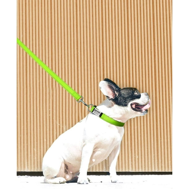 Heavy duty hotsell dog leash walmart