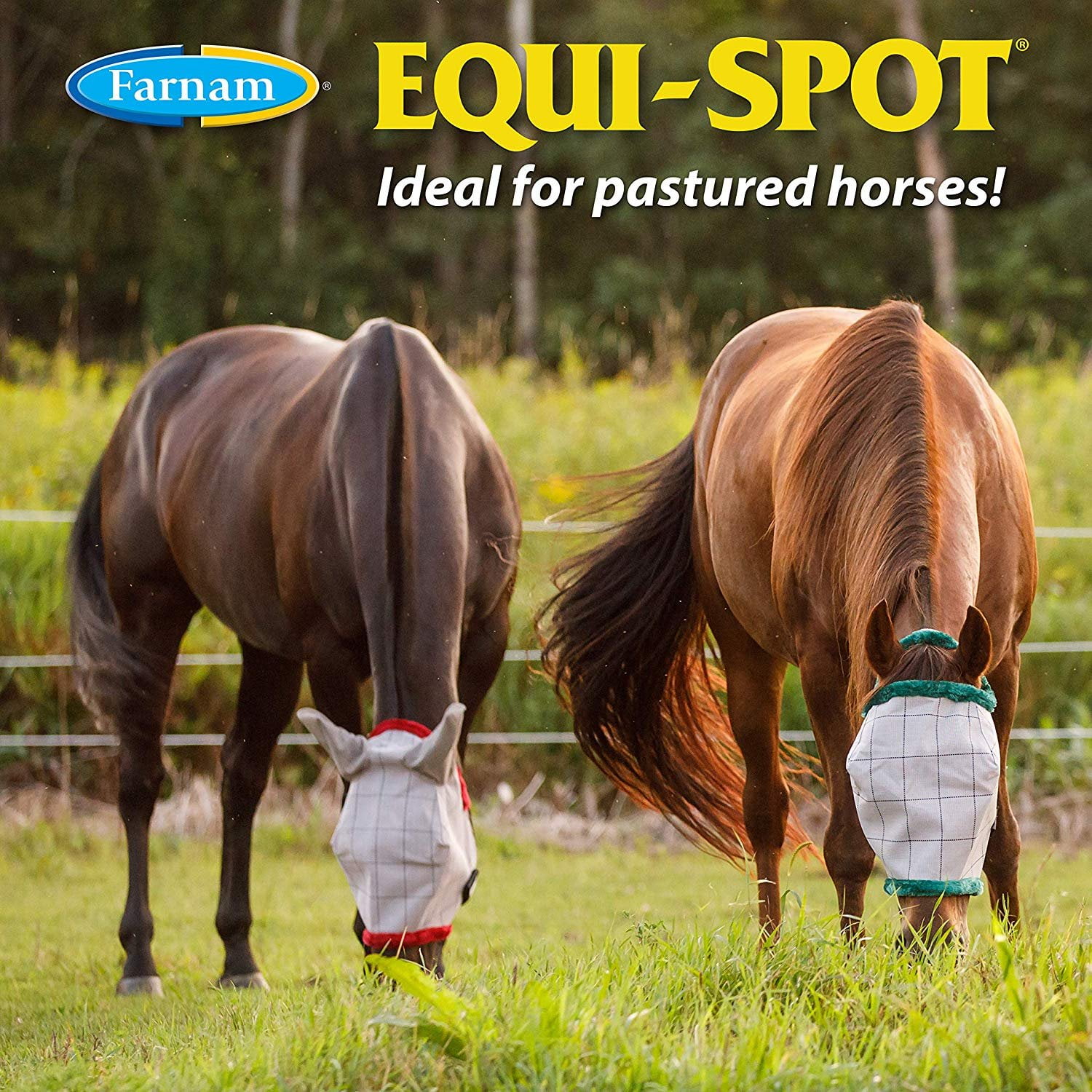 Penny - FLY HORSE  Farnam Equi-Spot Fly Spray, Spot On Insect Protection for