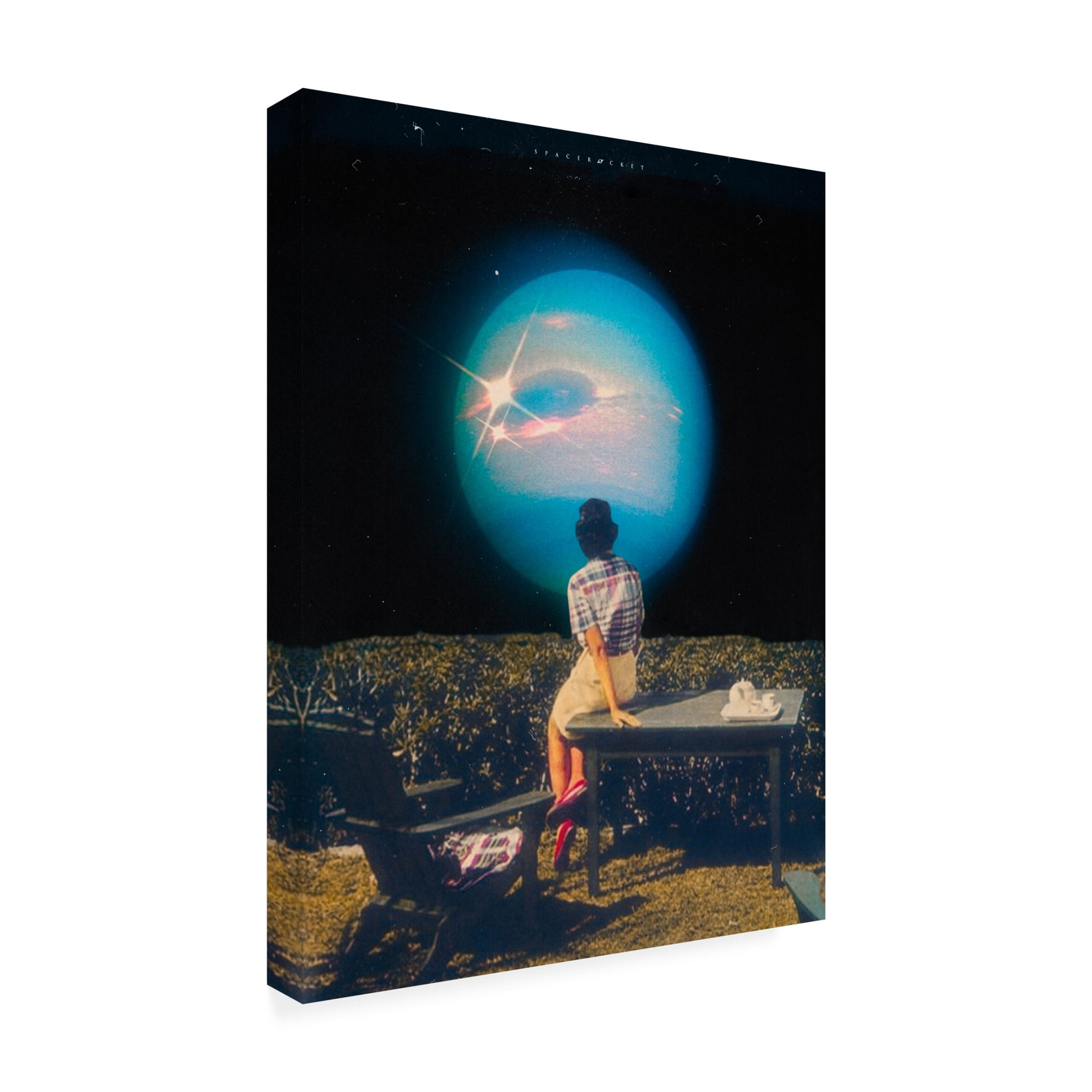 Trademark Fine Art spacerocket art 480 2 Canvas Wall Art