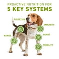 thumbnail image 4 of Purina ONE Plus Whole Body Support With Chicken Dry Dog Food, 8 lb., 4 of 9