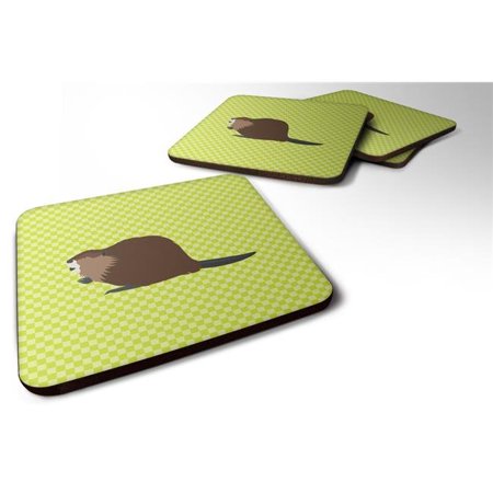

Eurasian Beaver Green Foam Coaster Set of 4