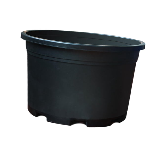 koolsoo Pot de Plante Contenant Polyvalent pour Plantes d'Intérieur Violet Plantes d'Intérieur 45 cm