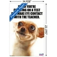 thumbnail image 2 of What Do You Meme - Eye Contact Wall Poster, 14.725" x 22.375", 2 of 3
