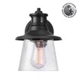 thumbnail image 1 of 1-Light Matte Black Motion Sensor Outdoor Wall Sconce with Clear Seeded Glass Shade, 1 of 7