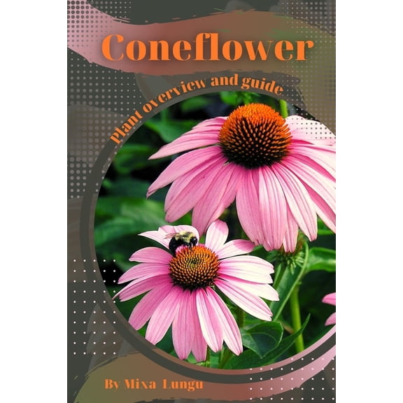 Coneflower: Plant overview and guide, (Paperback)
