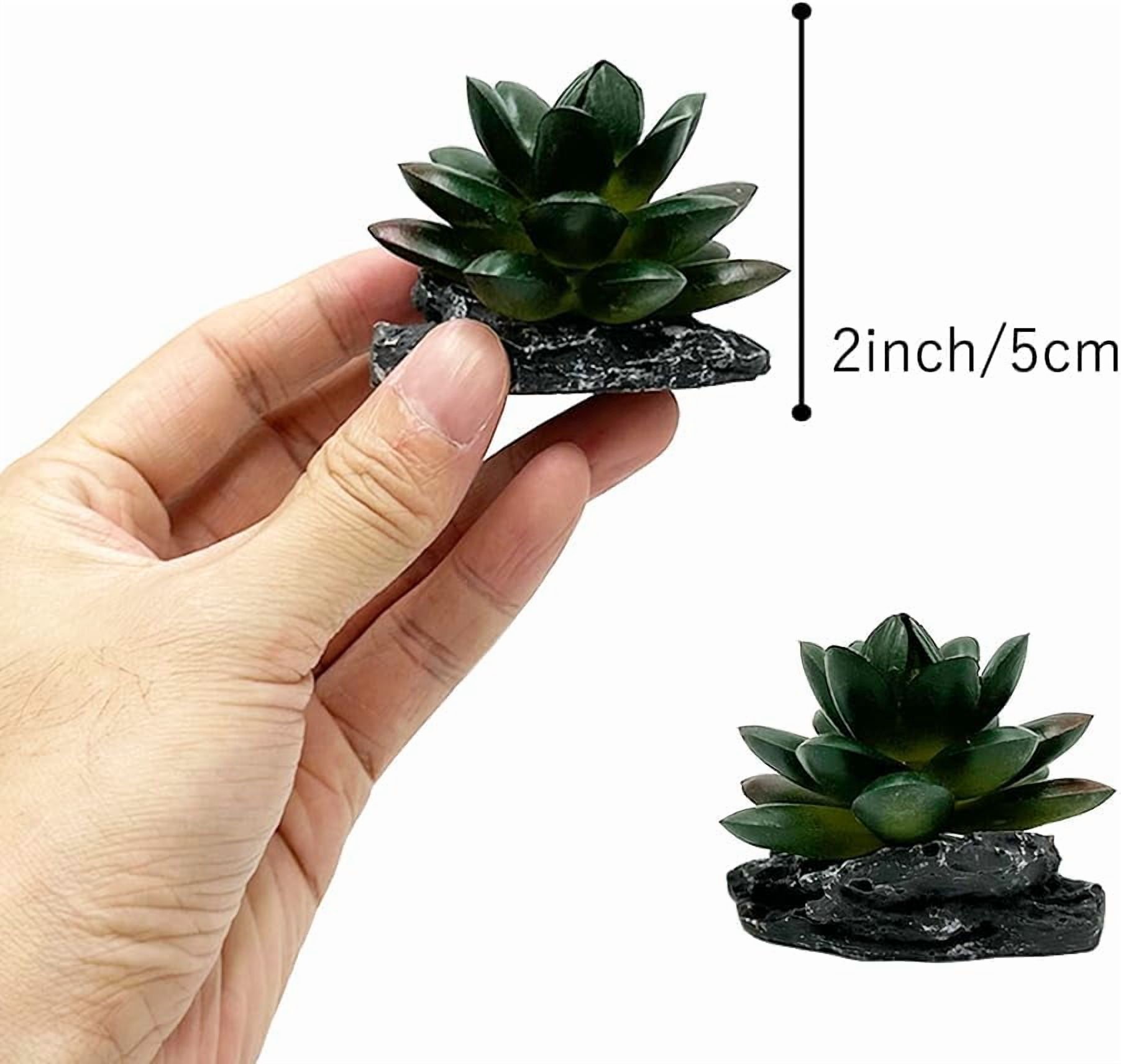 Reptile Artificial Plants Succulent Terrarium Decor Desert Rainforest Plant Lizard Beard Chameleon Gecko Snake Amphibious Sea Turtle Tank Accessory