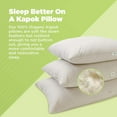 thumbnail image 3 of Kapok 20X36" King Bed Pillow - Organic Cotton Fabric Soft Pillow with Zipper - Made in USA, 3 of 10