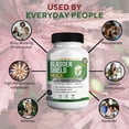 thumbnail image 2 of GreenVify BladderShield Max Urinary & Bladder Support Supplement Capsules, 2 of 5