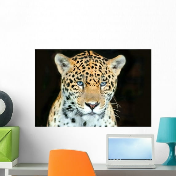 Head Shot Baby Jaguar Wall Mural by Wallmonkeys Peel and Stick Graphic (24 in W x 16 in H) WM275219