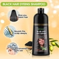 thumbnail image 2 of 3 In 1 Hair Color Shampoo, Fast 5-Min Hair Shampoo - Permanent Instant/3 in 1 wash/Care Convenient Use,500ml,Black, 2 of 8