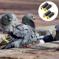 thumbnail image 2 of 2 unids Capacitación de palomas silbatos profesional ejercicio silbidos pequeño paloma silbidos, 2 of 6