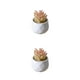 thumbnail image 4 of Simulación suculenta Advancent artificial Bonsai Flor falsa para sala de estar, 4 of 6