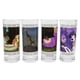 thumbnail image 1 of Set de vasos plateados con diseño de Buffalo Disney Meme, 300 ml, 4 unidades, 1 of 8